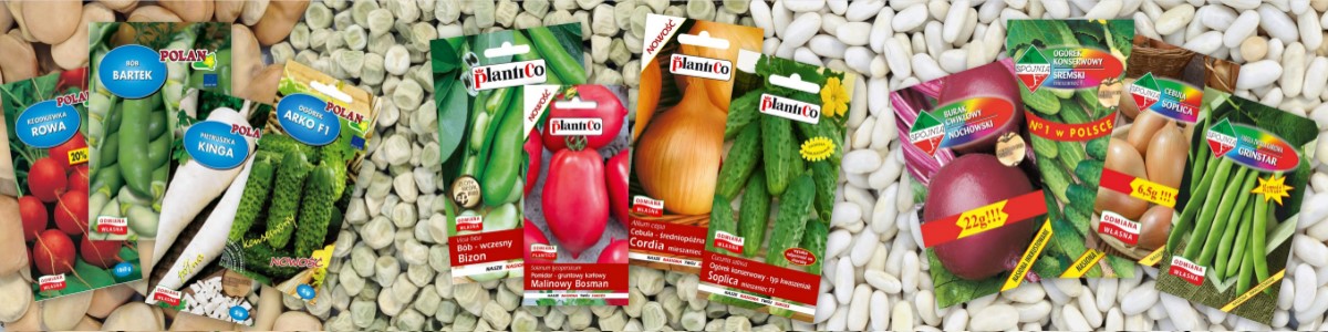 augalų sėklos daržovių sėklos gėlių sėklos