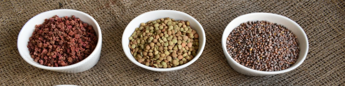 augalų sėklos daržovių sėklos gėlių sėklos