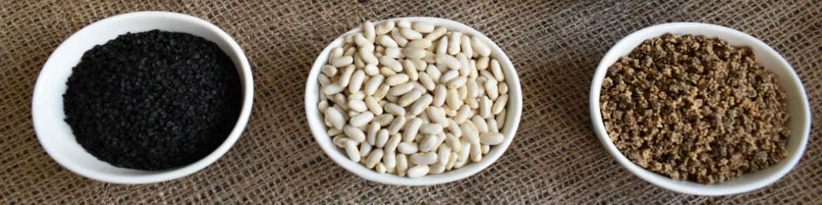 augalų sėklos daržovių sėklos gėlių sėklos