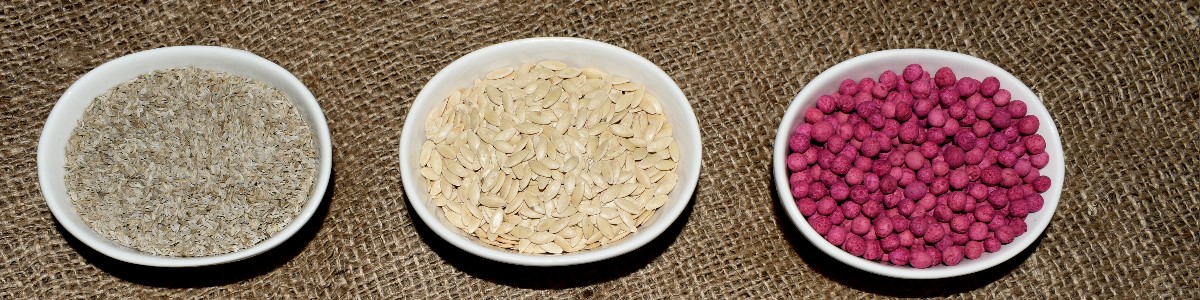 augalų sėklos daržovių sėklos gėlių sėklos