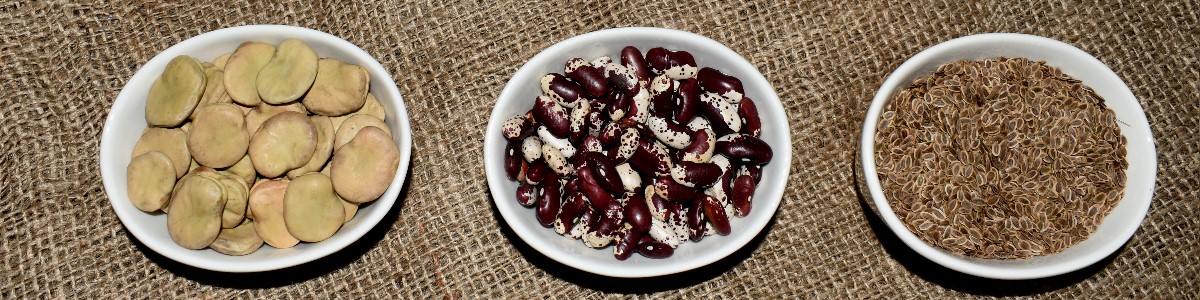 augalų sėklos daržovių sėklos gėlių sėklos